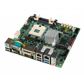 919-98C8-004 | ActForNet