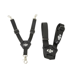 CP.BX.000053 | ActForNet