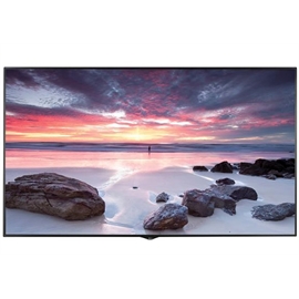 98LS95D-B | ActForNet