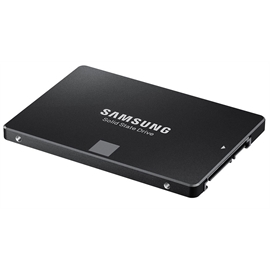 MZILS1T9HEJH-00007 | ActForNet